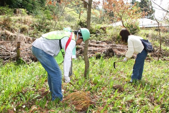 植樹した苗木は幹も太くなり、立派に成長しました